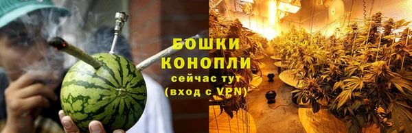 СК Белокуриха