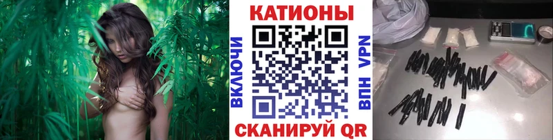 Мефедрон мяу мяу  kraken как войти  Сланцы 