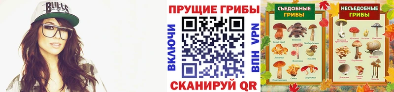 где купить наркоту  Сланцы  Галлюциногенные грибы GOLDEN TEACHER 